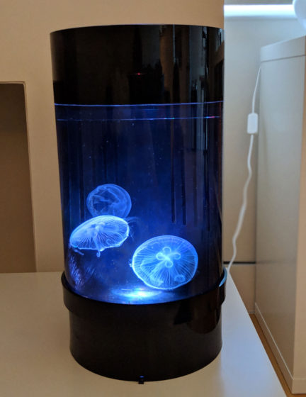 jellyfish lamp aquarium instructions