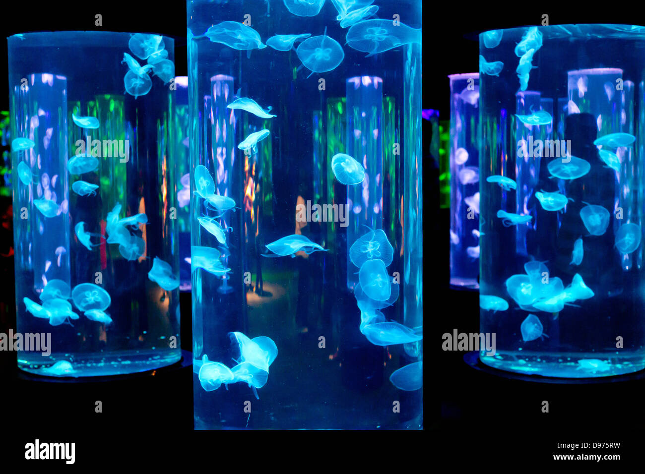 jellyfish lamp aquarium instructions