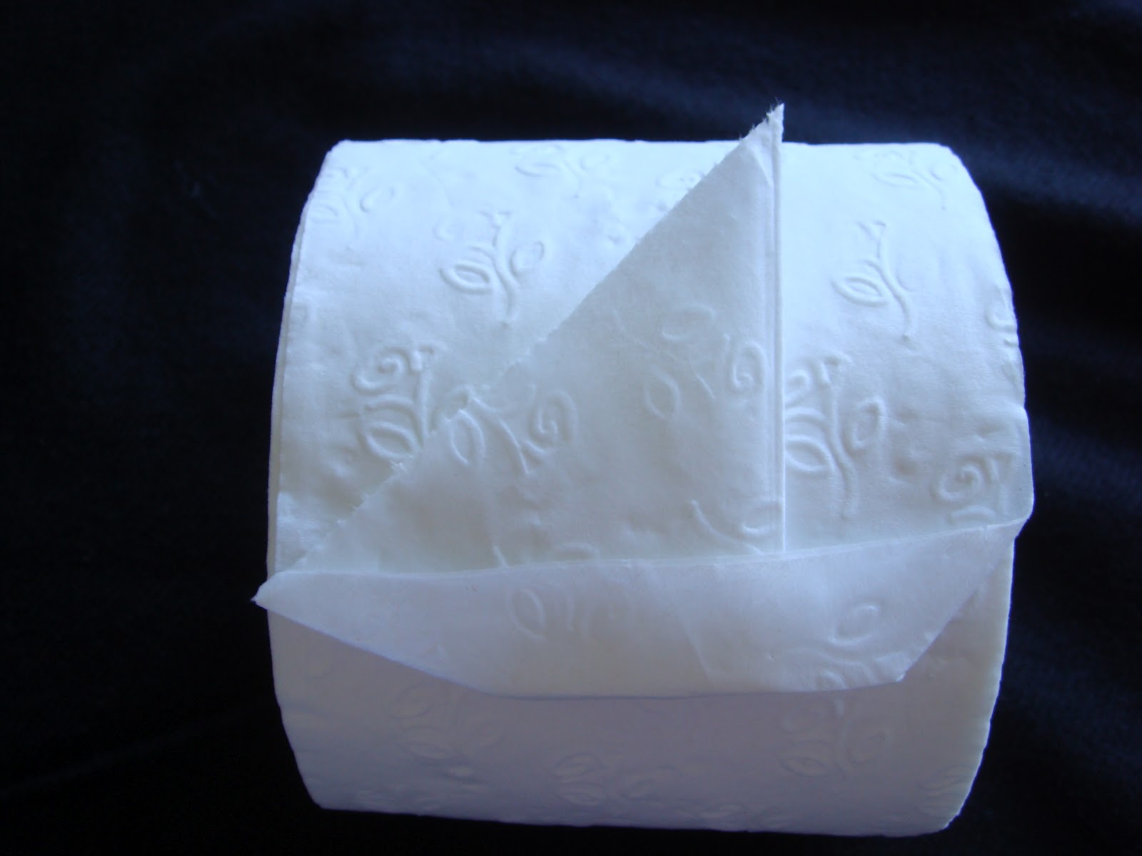 toilet paper origami instructions