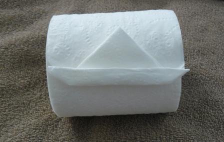 toilet paper origami instructions