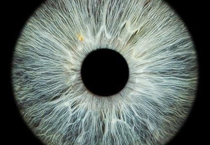 visual mnemonics medicine pdf free download